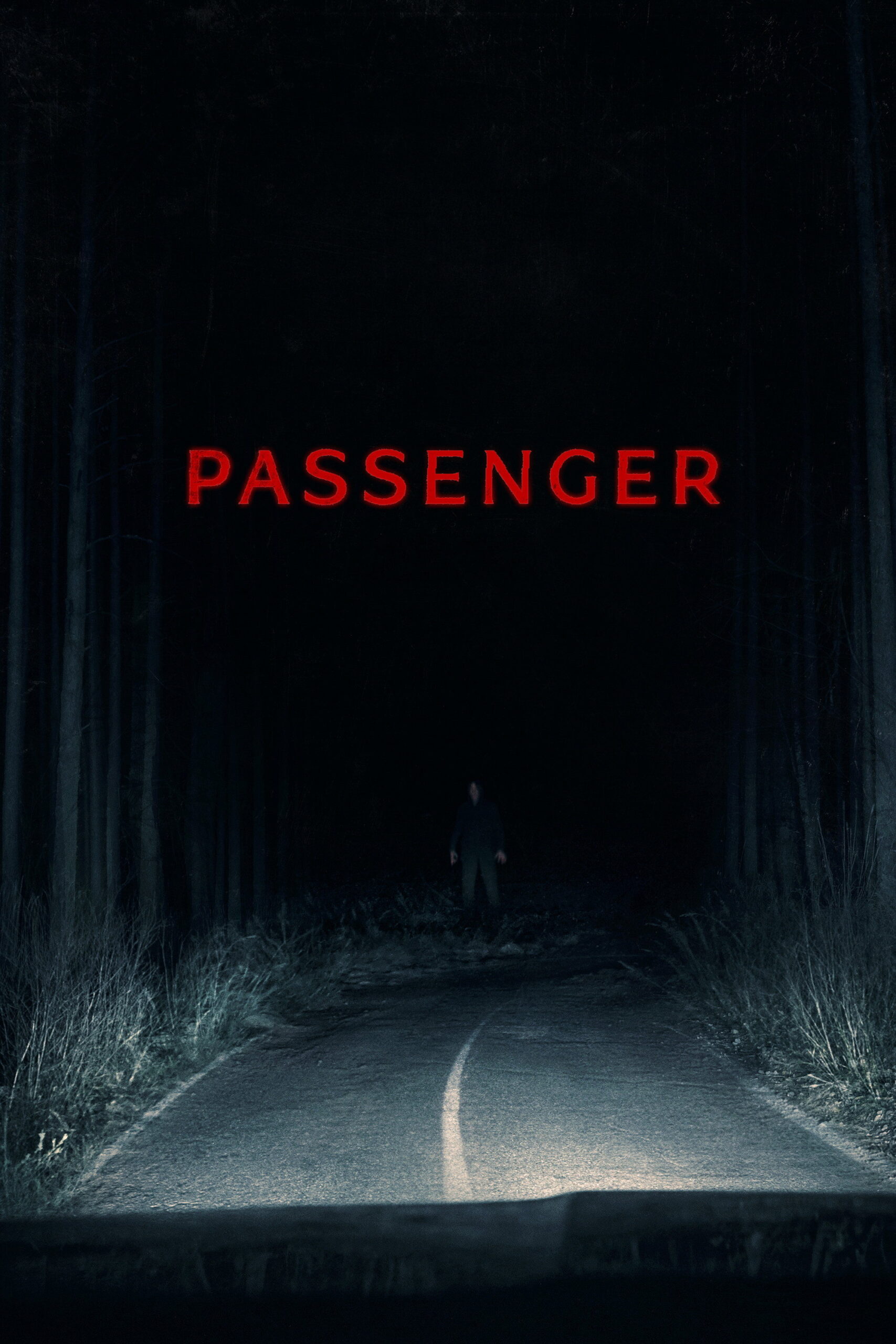 Passenger ผู้ร่วมทางตาย (2026)
