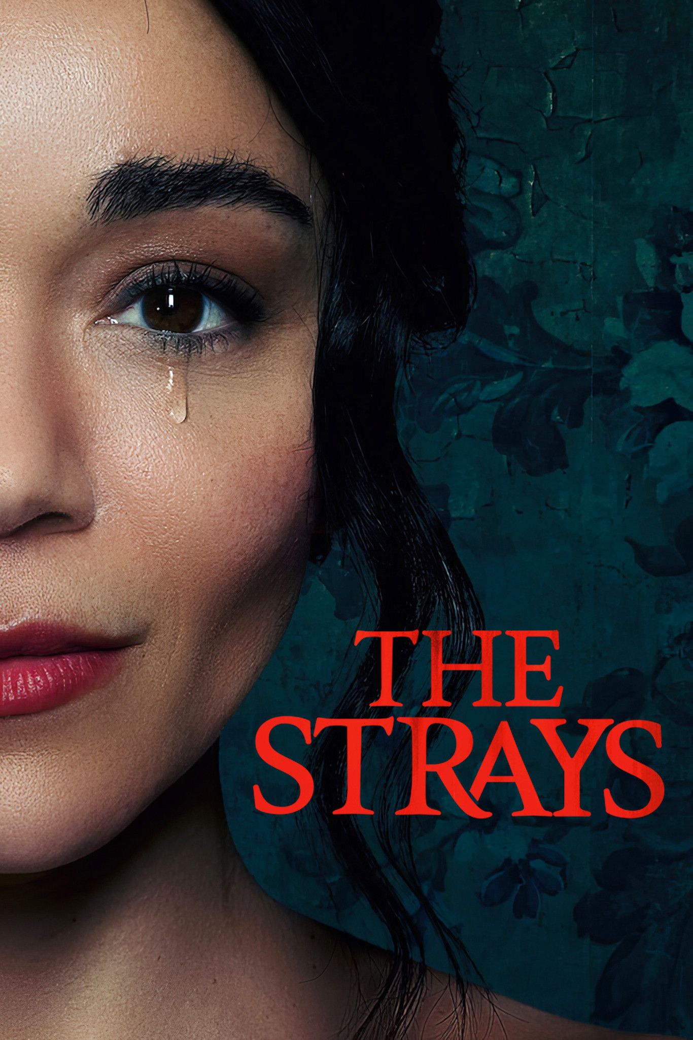 The Strays คนหลงทาง (2023)