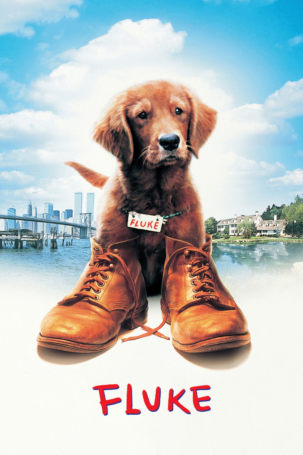 Fluke เกิดใหม่กลายเป็นหมา (1995)