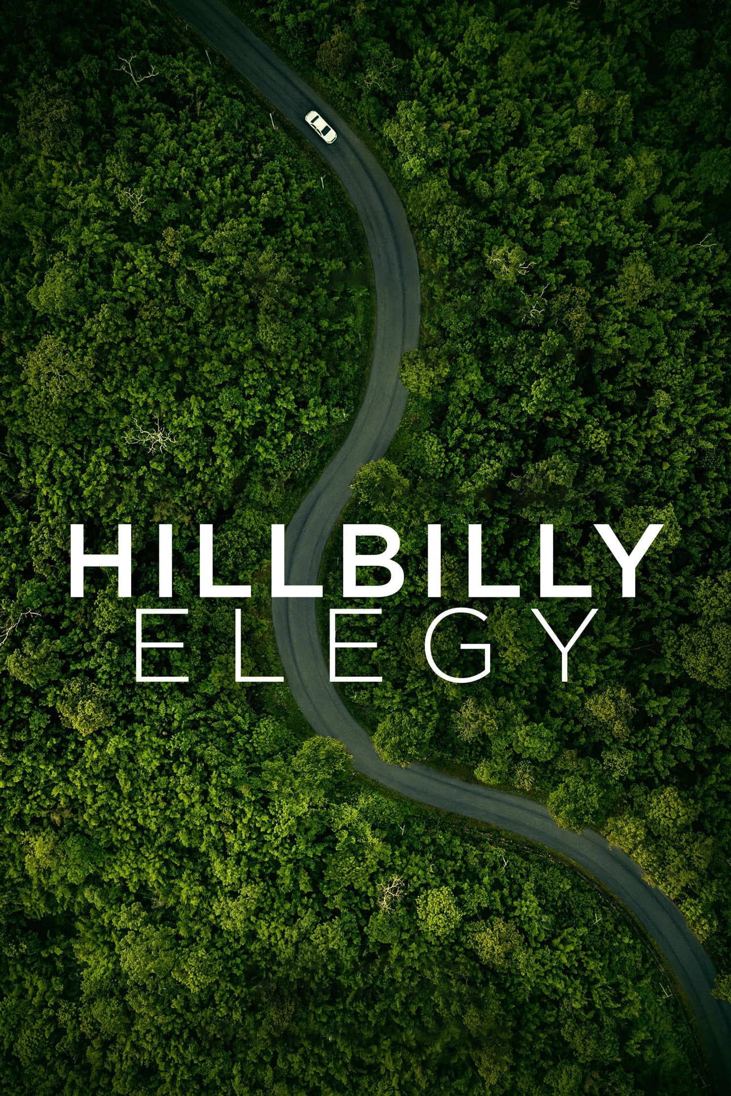 Hillbilly Elegy  บันทึกหลังเขา (2020)