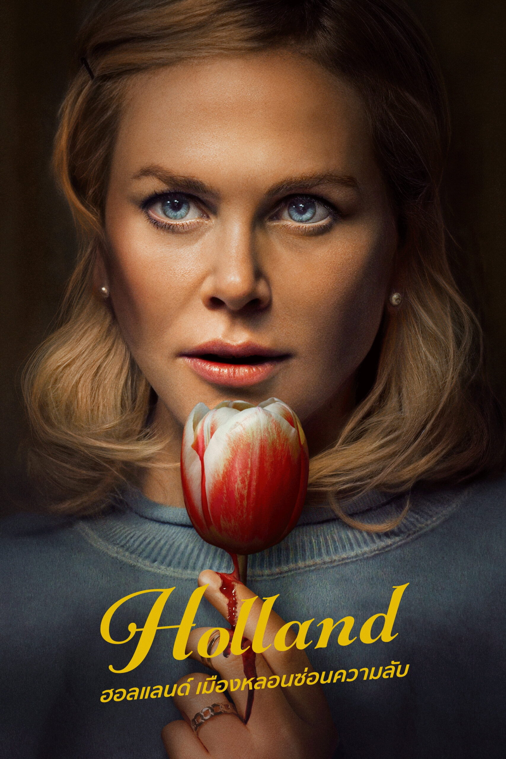 Holland ฮอลแลนด์ เมืองหลอนซ่อนความลับ (2025)