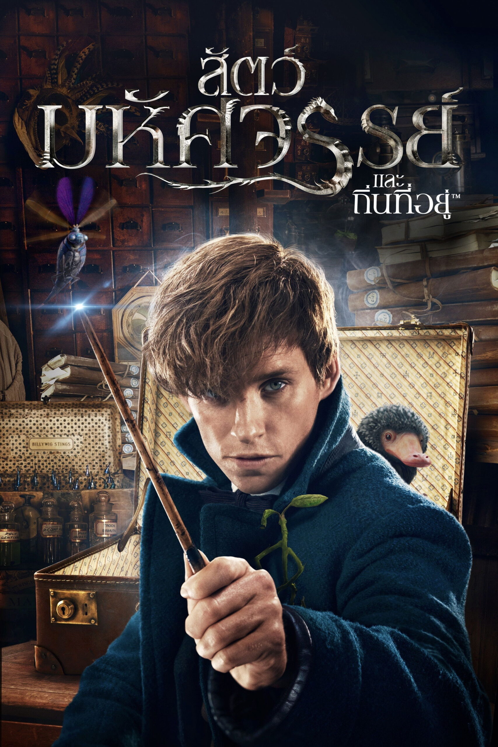 Fantastic Beasts and Where to Find Them สัตว์มหัศจรรย์และถิ่นที่อยู่ (2016)