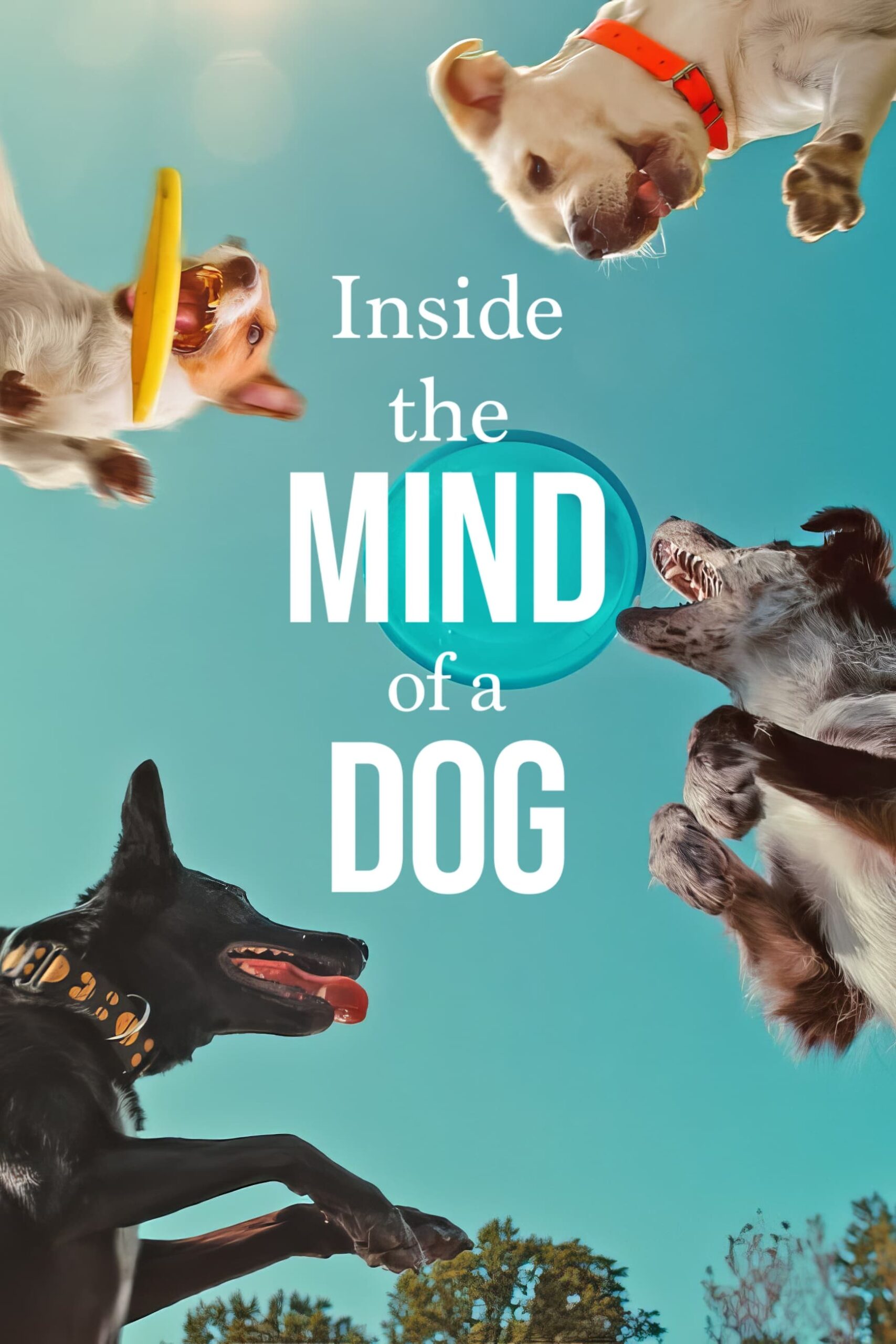 Inside the Mind of a Dog อ่านใจสุนัข (2024)