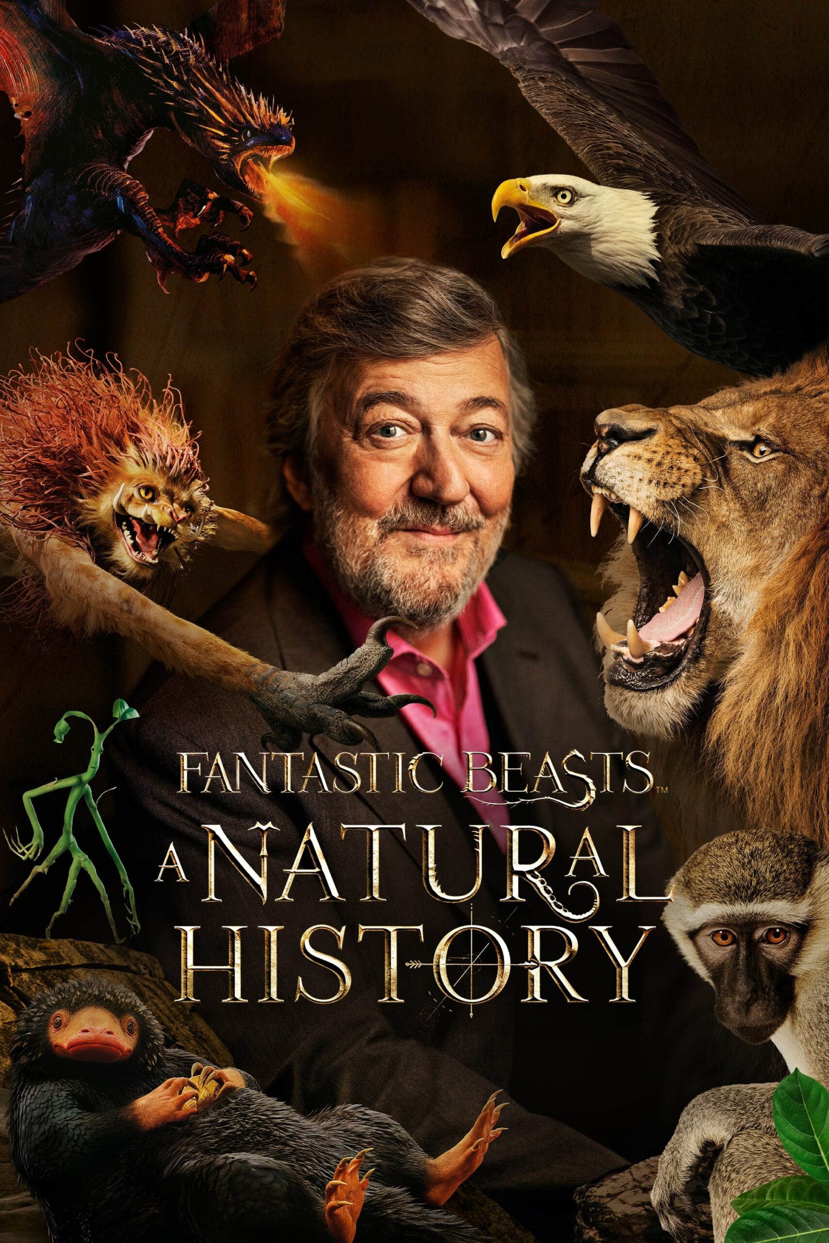 Fantastic Beasts A Natural History (2022)